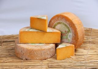 Double Gloucester