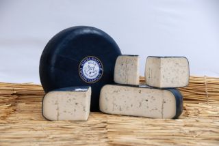 Ribblesdale Goat Blue
